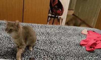 Startled by a sneeze