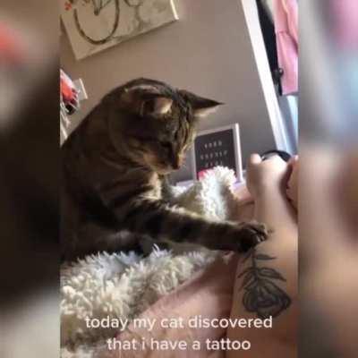 Trying to catculate what is different about this flower.