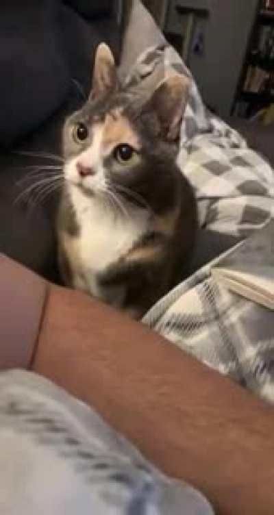 Excuse me, I need some care!