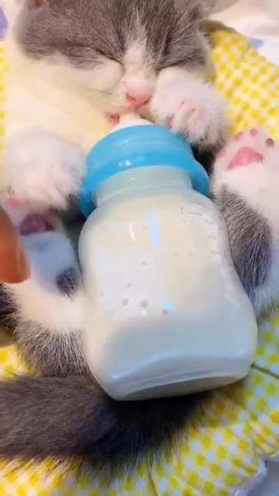 Another sleepy criminal