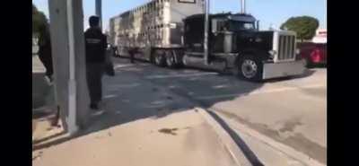 Vegan Protesters Jump In Front of Meat Truck
