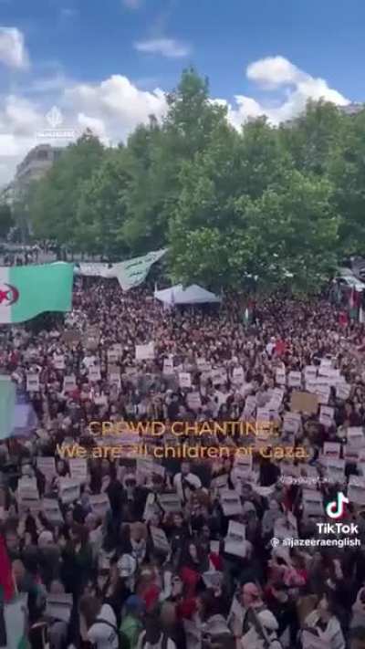 Thousands of people protested in Paris in solidarity with Palestine, with demonstrators calling for an immediate ceasefire in Israel's ongoing war in Gaza