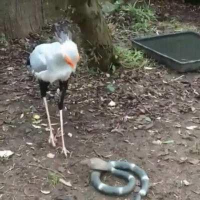 WHY.....DON'T....YOU...DIE!!!???