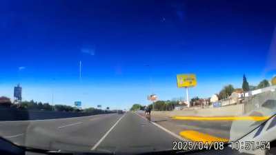 Alguien me explica porque las autoridades nunca hacen algo contra estos animalitos en bicicleta en zonas donde esta prohibido circular con una?