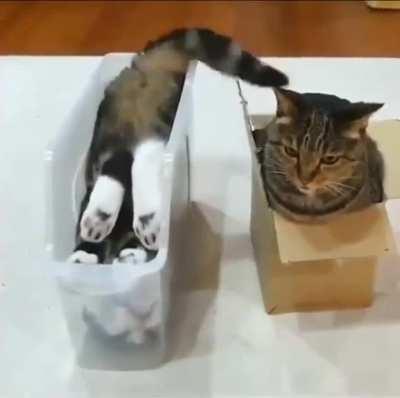 one wants to fits, the other wants to sits