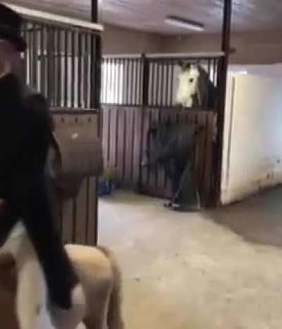 После Дзюбы уже нечего стесняться...