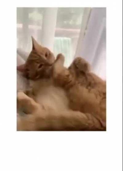 Why would you even buy the diamond pass?