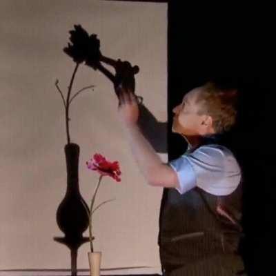 This shadow magic act 