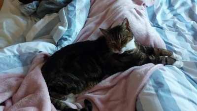 Oliver is voice activated