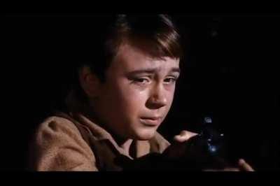 Low Effort Old Yeller