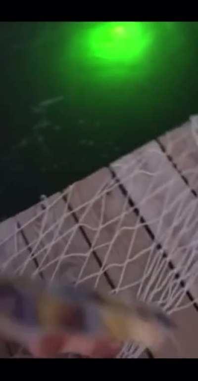 My water people need me