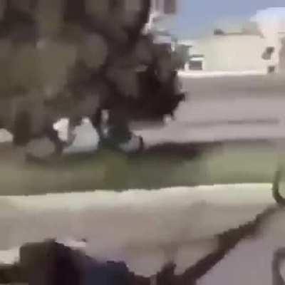 Yullalol - Video #2239