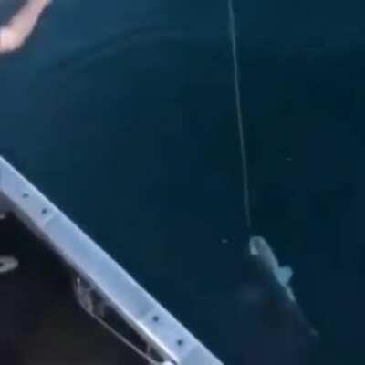 Рыбалка по техасски