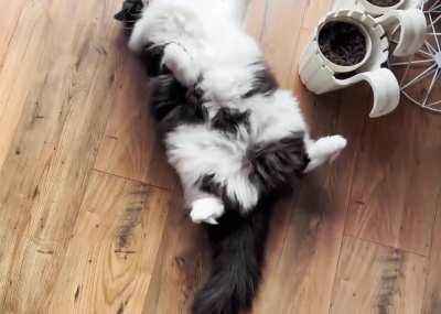 Charlie being Charlie :)