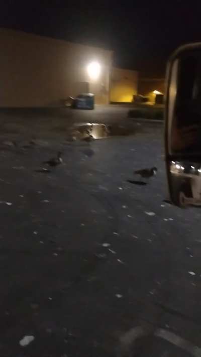 Just checking before I leave