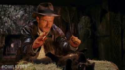 Пожамкать пузико