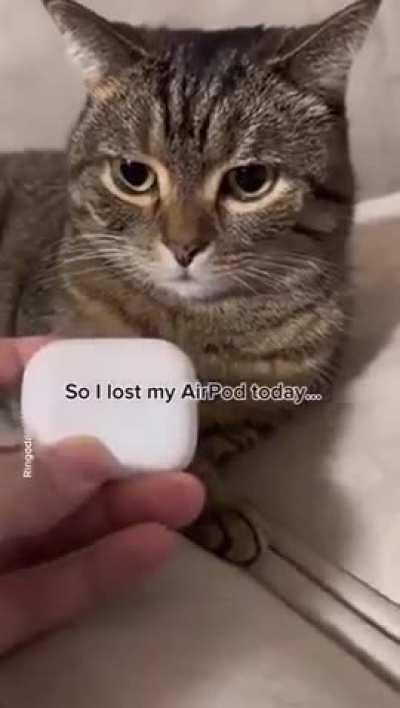 So I lost my Airpad today