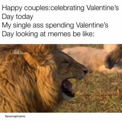 I’m not lion it be true