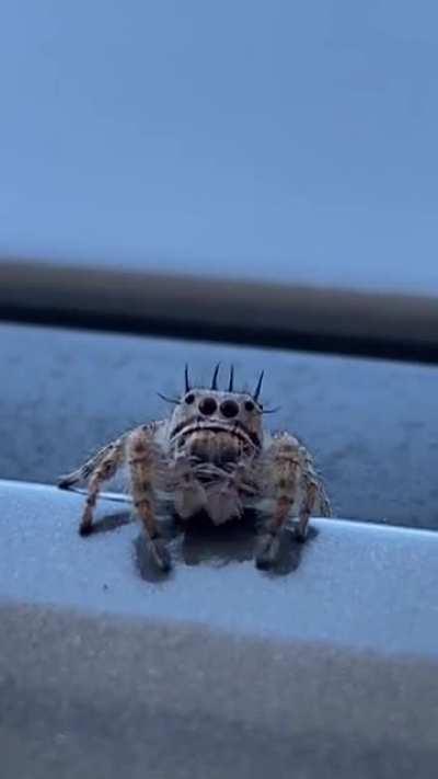 I didn&rsquo;t care about the consequences until after it happened