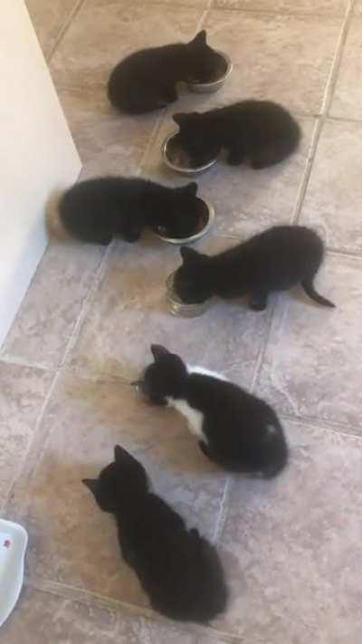 Hungry boys and girls