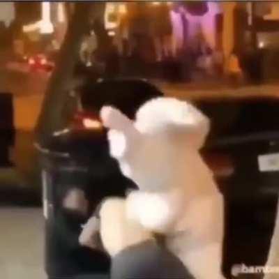 Bruh bunny went off on that man