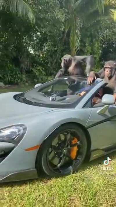 :) cuidado com a música