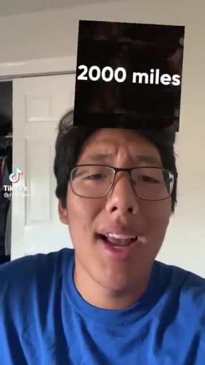 I decided to find my soulmate after last stream