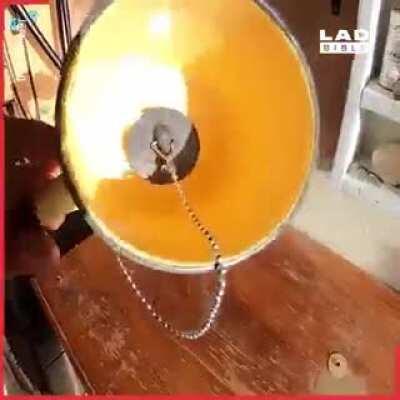 Is this oke a saffa?