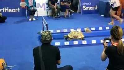 Really. Slow but steady win the race.