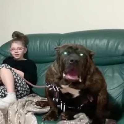 This little girl with her dog