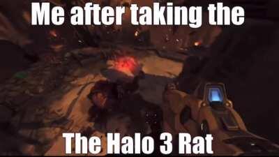 The Slayer gets his strength from Halo 3 Rat