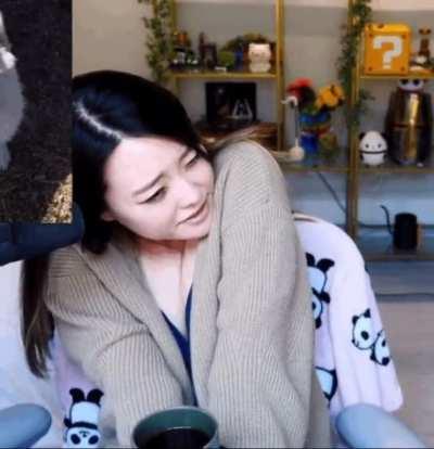 Sleepy Jeannie / Potasticp