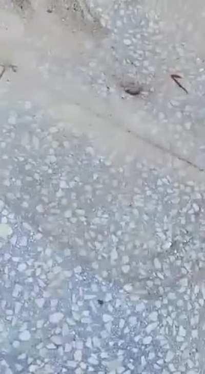 Now this is what you call Third Partying.