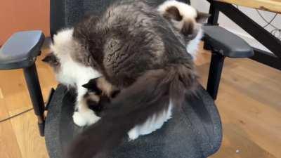 Butters has no shame being the third wheel