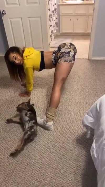 Best pornstar dont argue with me