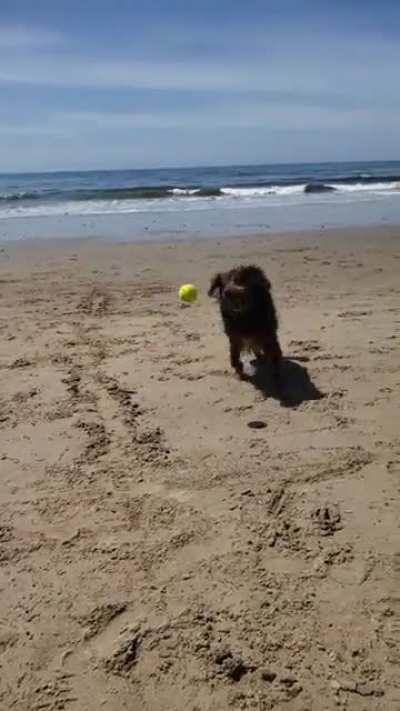 Seamus, my 14 year old boy at the beach for the first time.