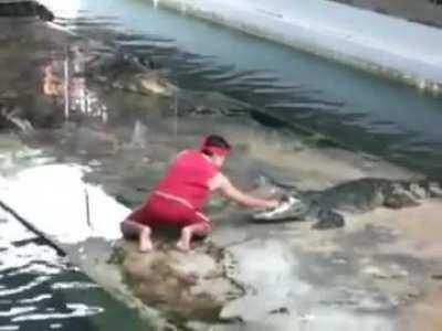 Violent accident on camera!!1! (jk)