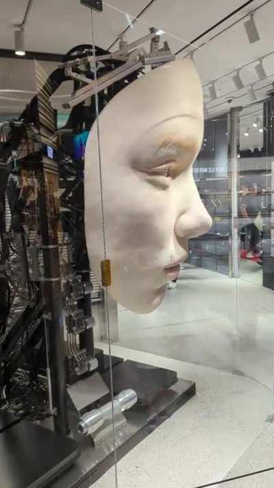 Giant Animatronic Face