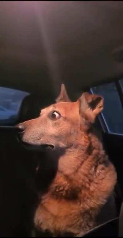 When you overheard your neighbors arguing.