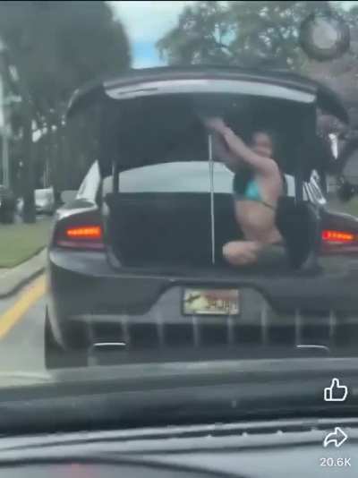 Honk for junk in the trunk