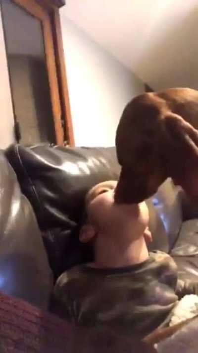 should have swallowed