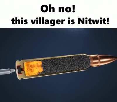 Oh no! this villager is Nitwit!