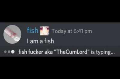 fish.