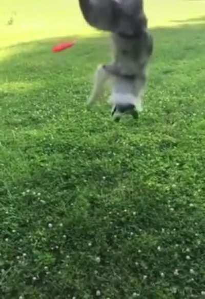 That was intentional