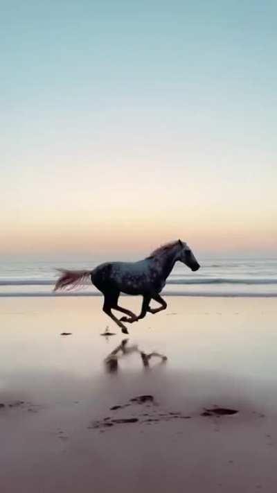 Capturing a running horse.