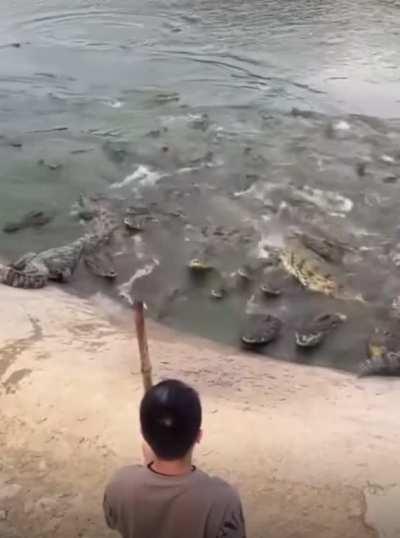 to bite the hand that feeds (Part 2)