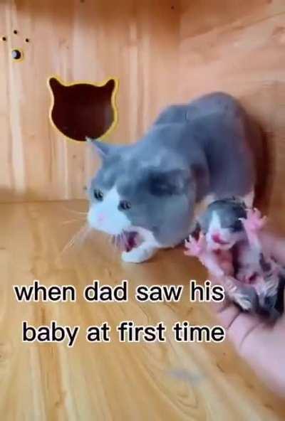 I guess I’m not alone in thinking newborn anything’s look gross…