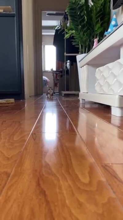 Look out, here I come