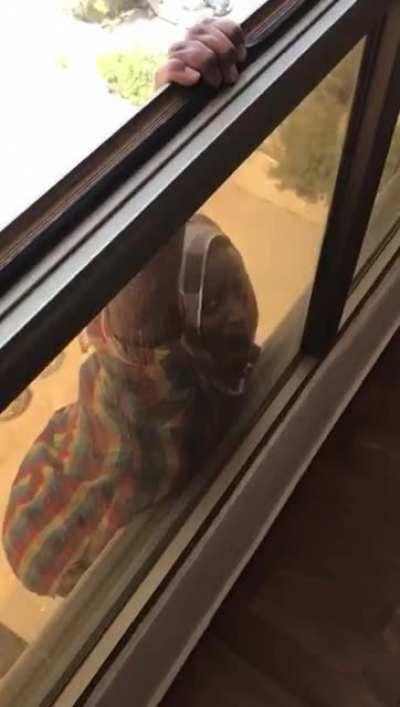 found this in discord today