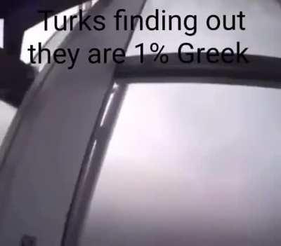 When turkroaches fly 😎